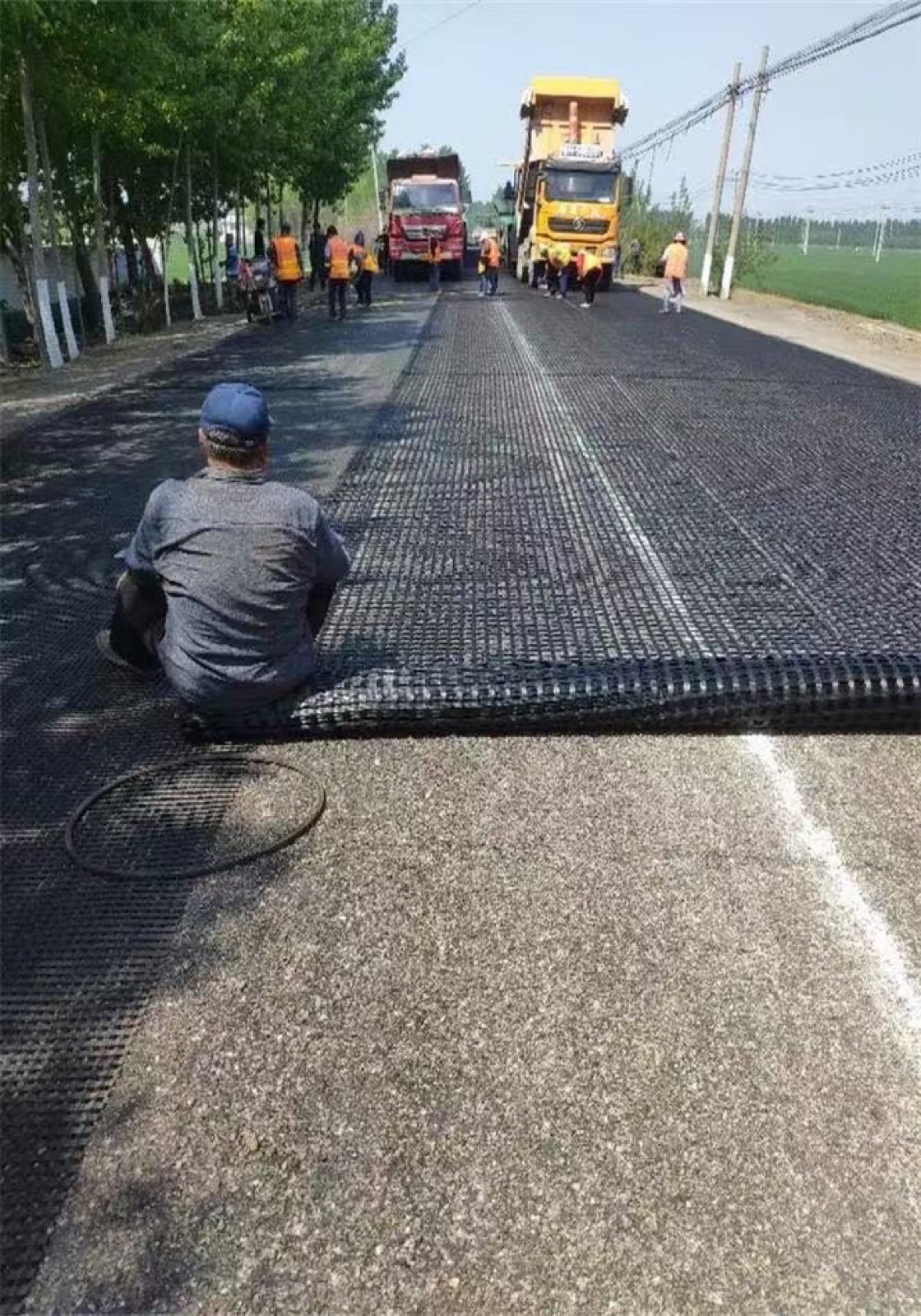 Geogrid for highway and road base reinforcement
